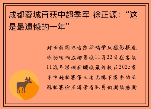 成都蓉城再获中超季军 徐正源：“这是最遗憾的一年”